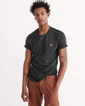 abercrombie and fitch icon crew tee
