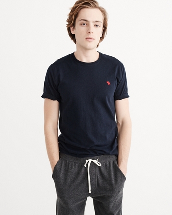 abercrombie and fitch icon crew tee