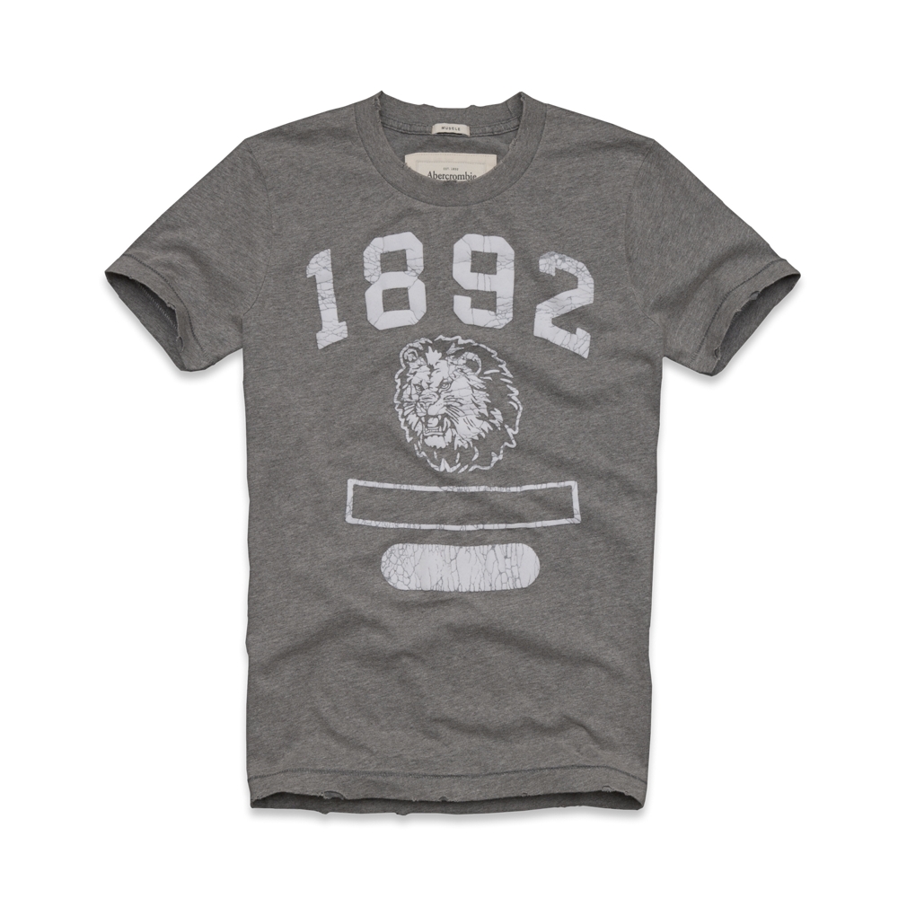 Mens Hoffman Mountain Tee