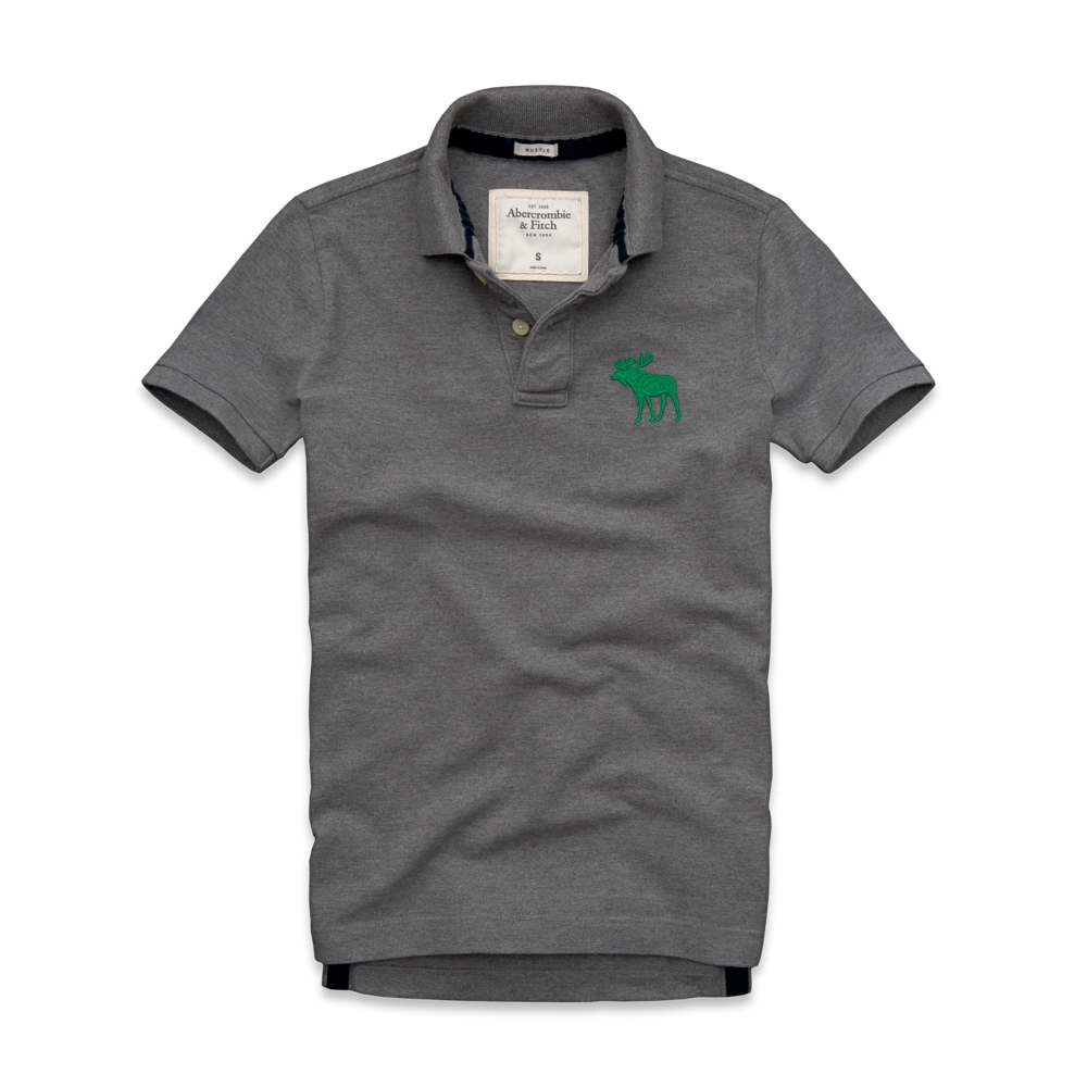 Mens Mount Colvin Polo