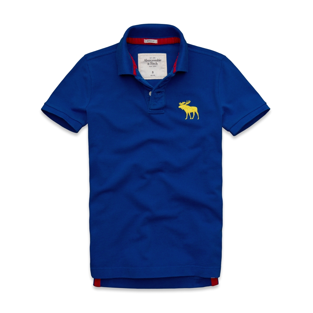 Mens Mount Colvin Polo