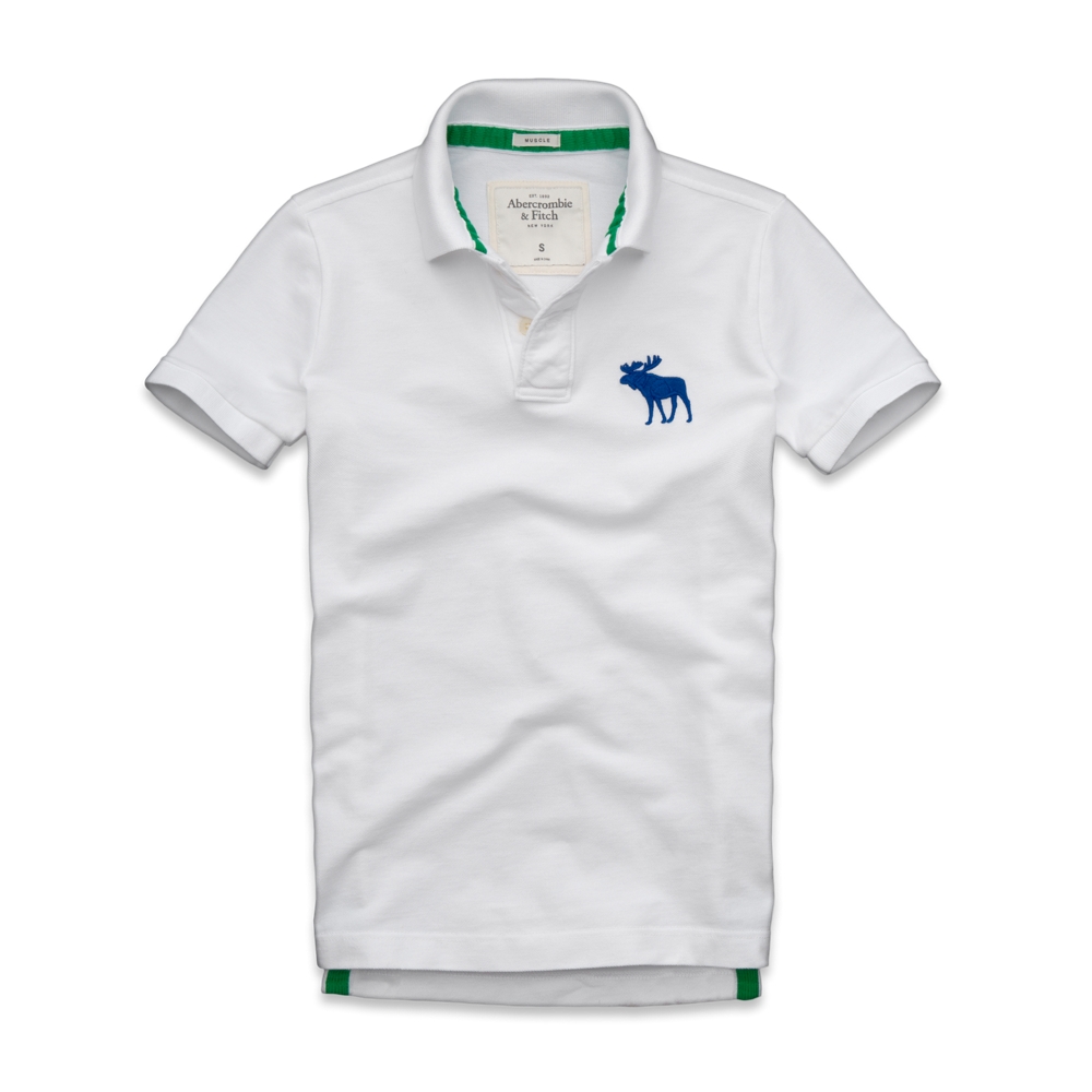 Mens Mount Colvin Polo