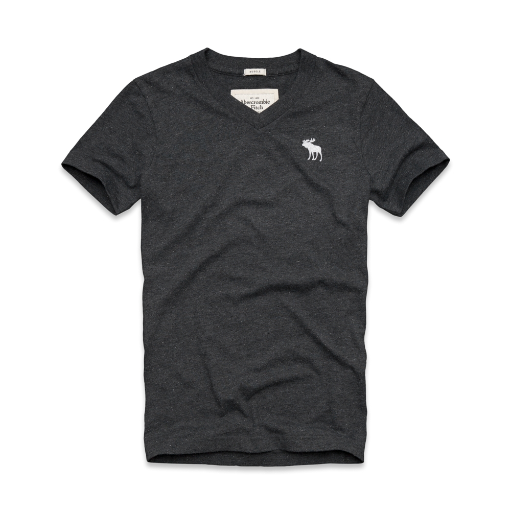 Mens Boreas Mountain Tee
