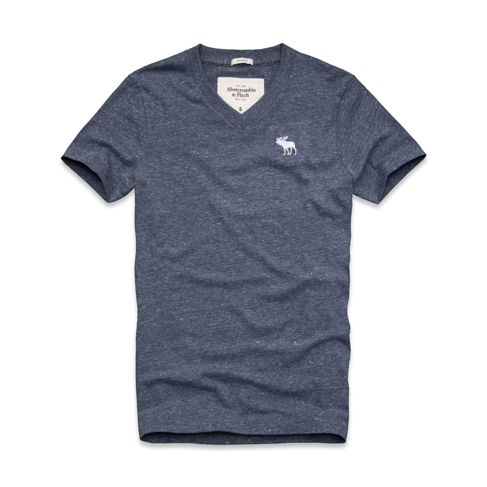 Mens Boreas Mountain Tee