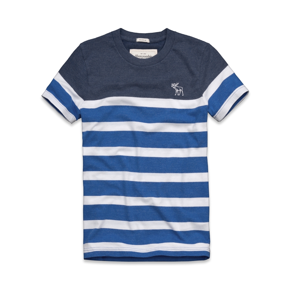Mens Lake Placid Tee