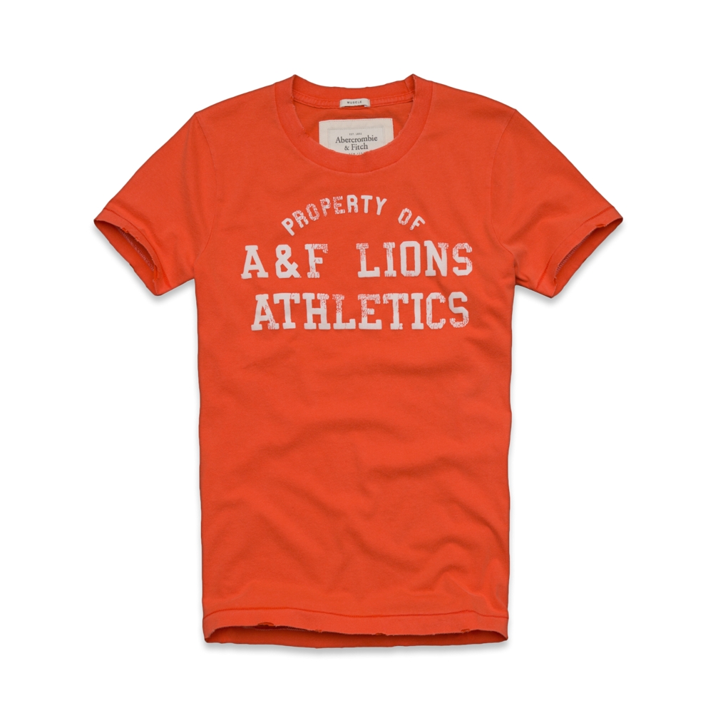 Mens Hoffman Mountain Tee