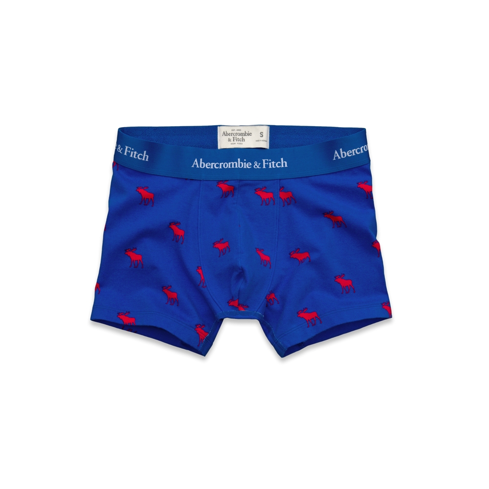 Mens Iroquois Mountain Boxer Briefs