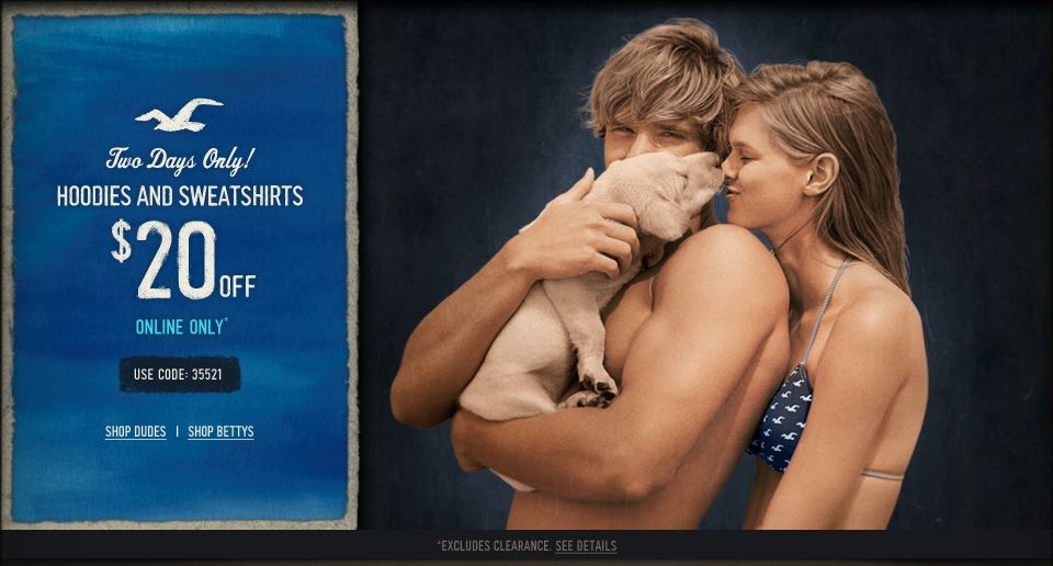 Take $20 off hoodies and sweatshirts! Two days, online only!