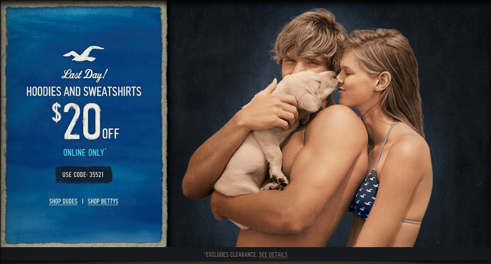 Take $20 off hoodies and sweatshirts! Two days, online only!