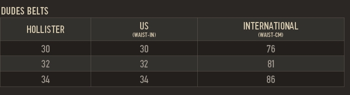 hollister co size chart