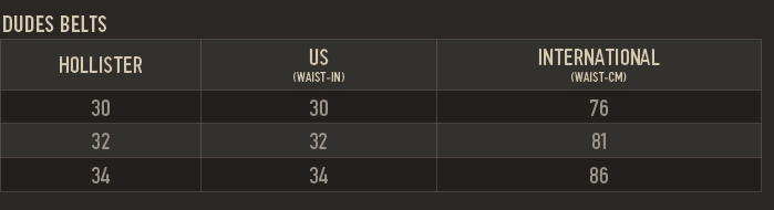 hollister mens size chart