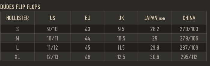 hollister shoe size chart