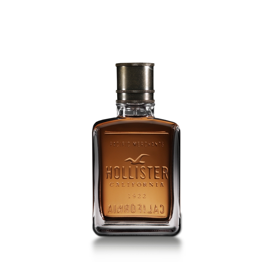 hollister slippers mens