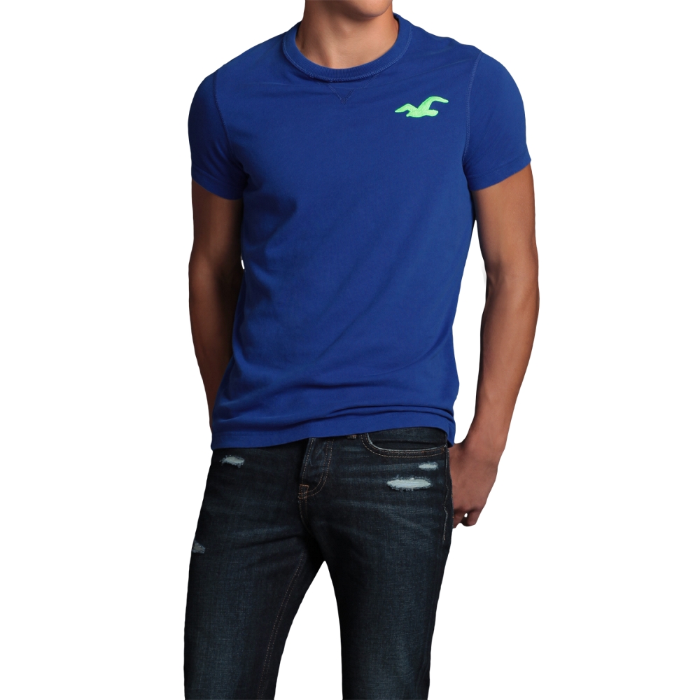 hollister muscle fit shirts