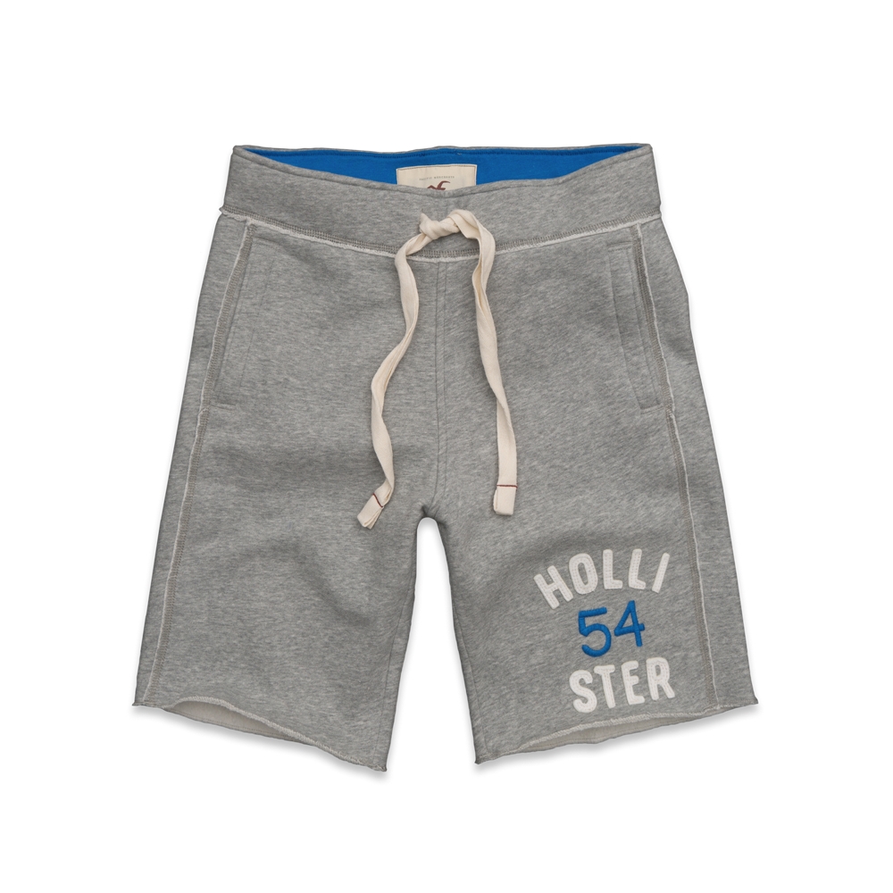 Guys Hollister Athletic Shorts