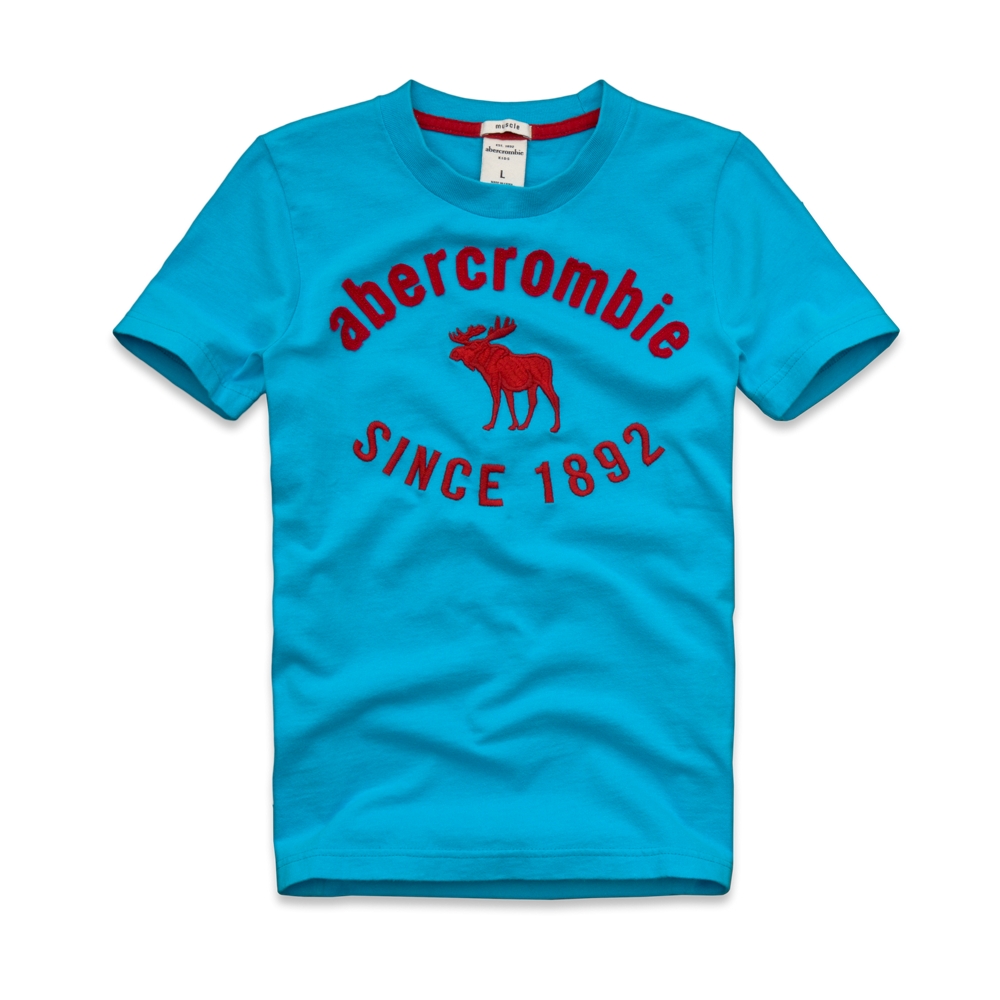 guys newcomb lake tee
