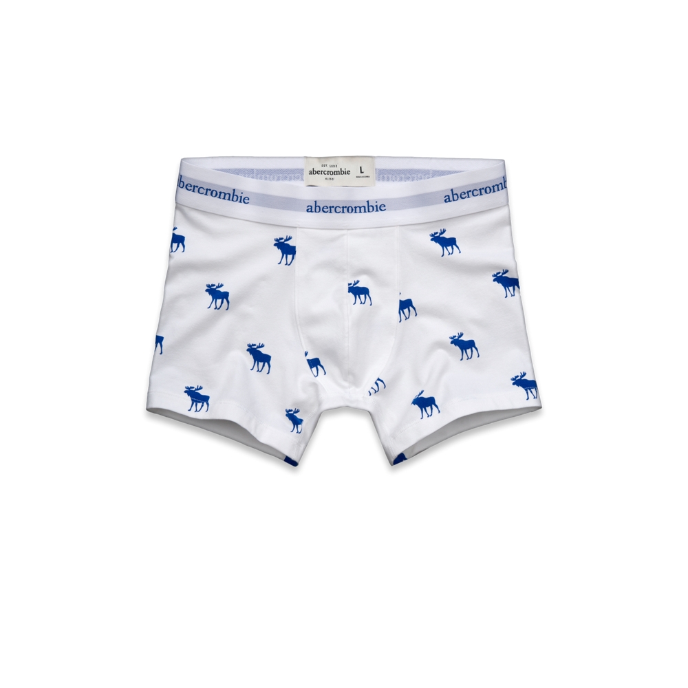 boys mason mountain boxer briefs