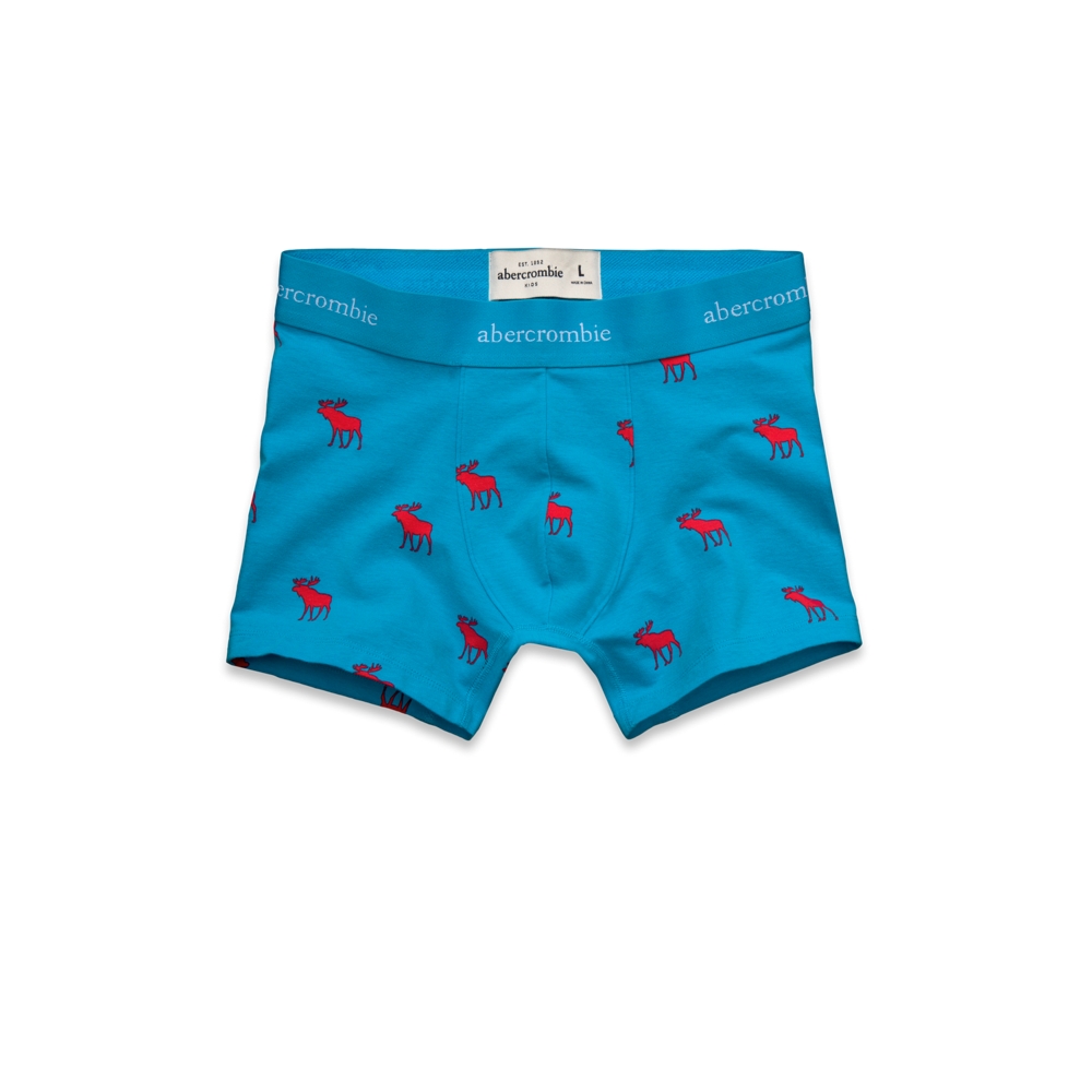 boys mason mountain boxer briefs