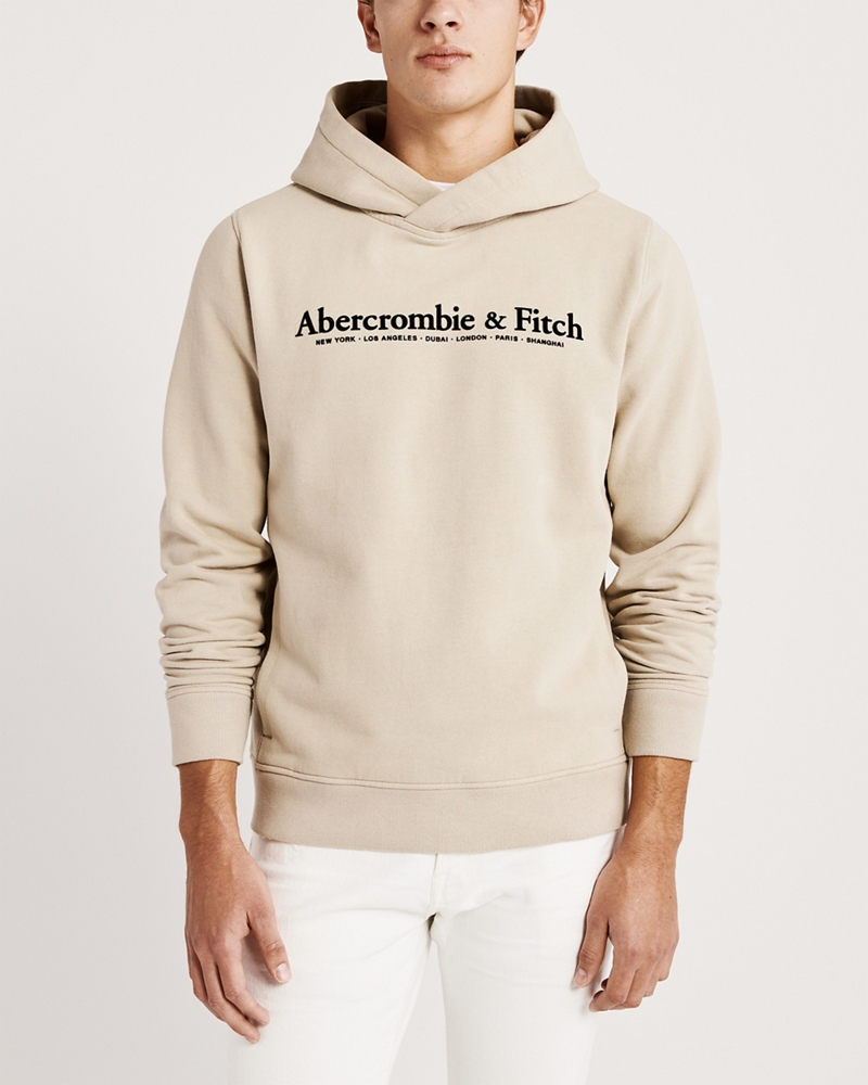 The A&F Perfect Popover Logo Hoodie