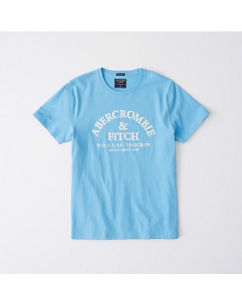 Mens Graphic Tees Abercrombie Fitch - mens graphic tees