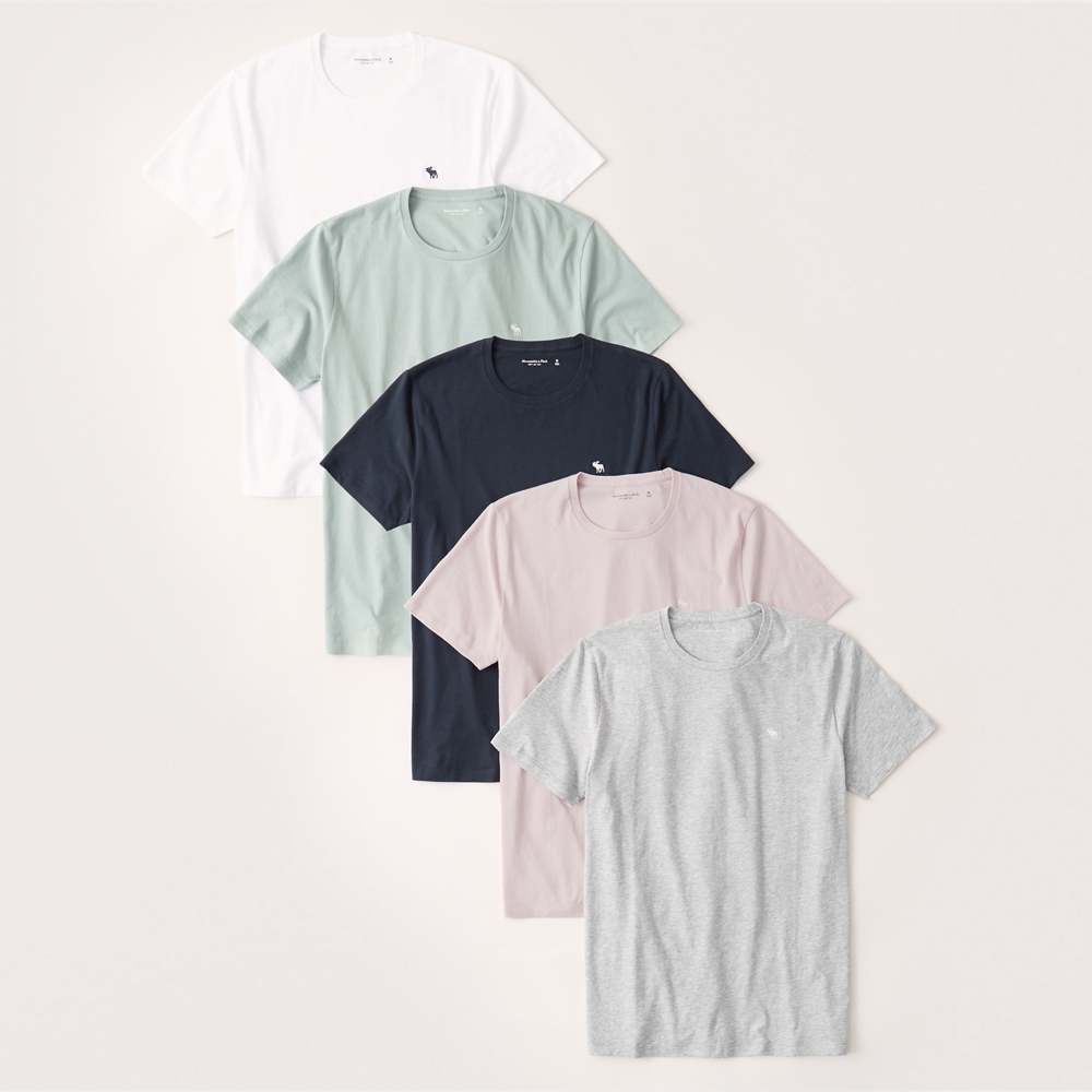 abercrombie and fitch icon crew tee