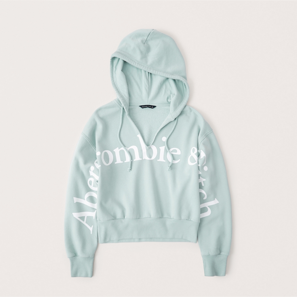 abercrombie and fitch logo hoodie