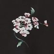 BLACK FLORAL