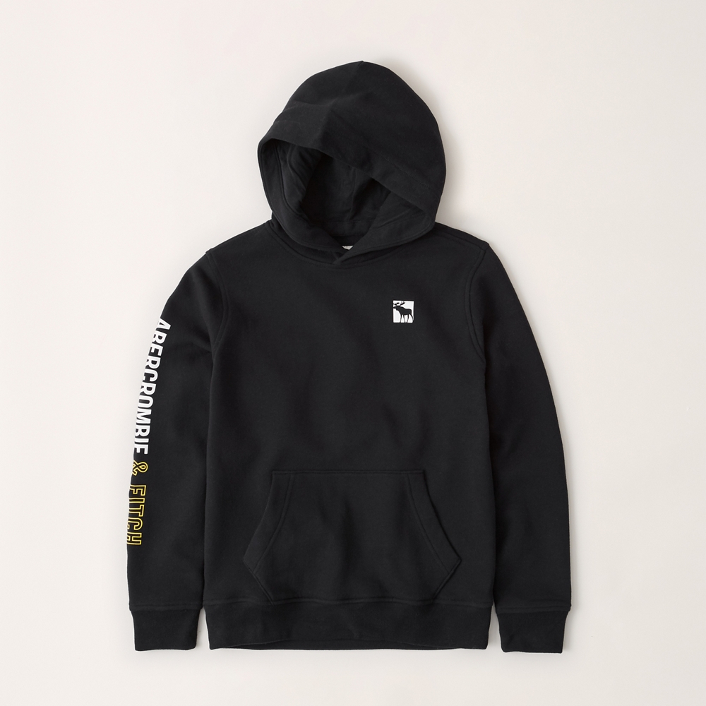 abercrombie exploded logo hoodie