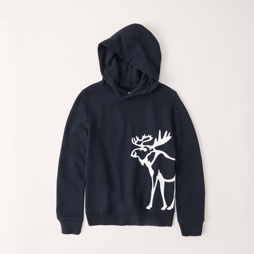 abercrombie exploded logo hoodie