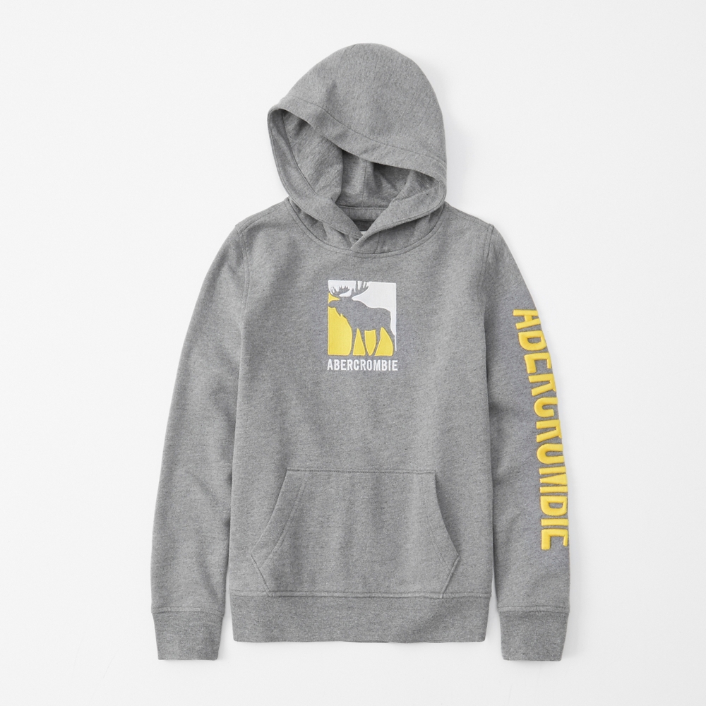 logo hoodie