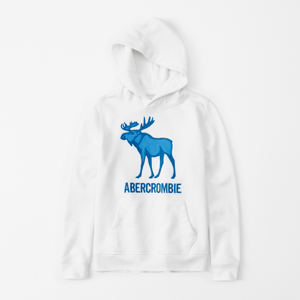 embroidered logo hoodie