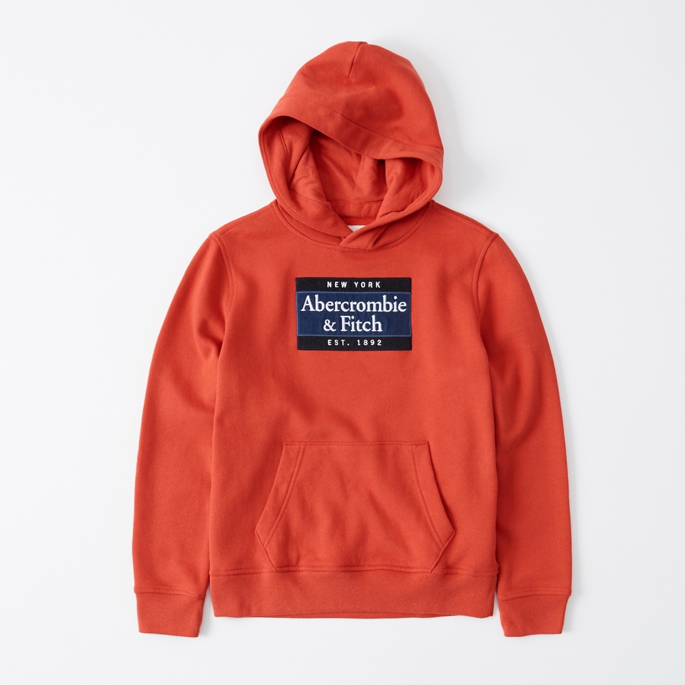 logo hoodie