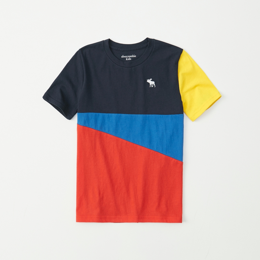 colorblock icon tee