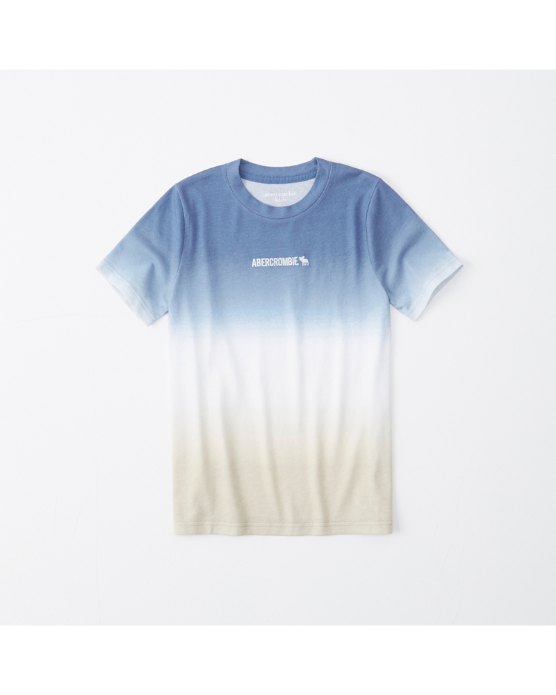 Jungen Dip Dye Logo Tee Jungen Oberteile Abercrombie Com