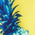 yellow pineapple print