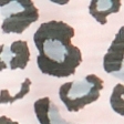 leopard print