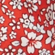 red floral