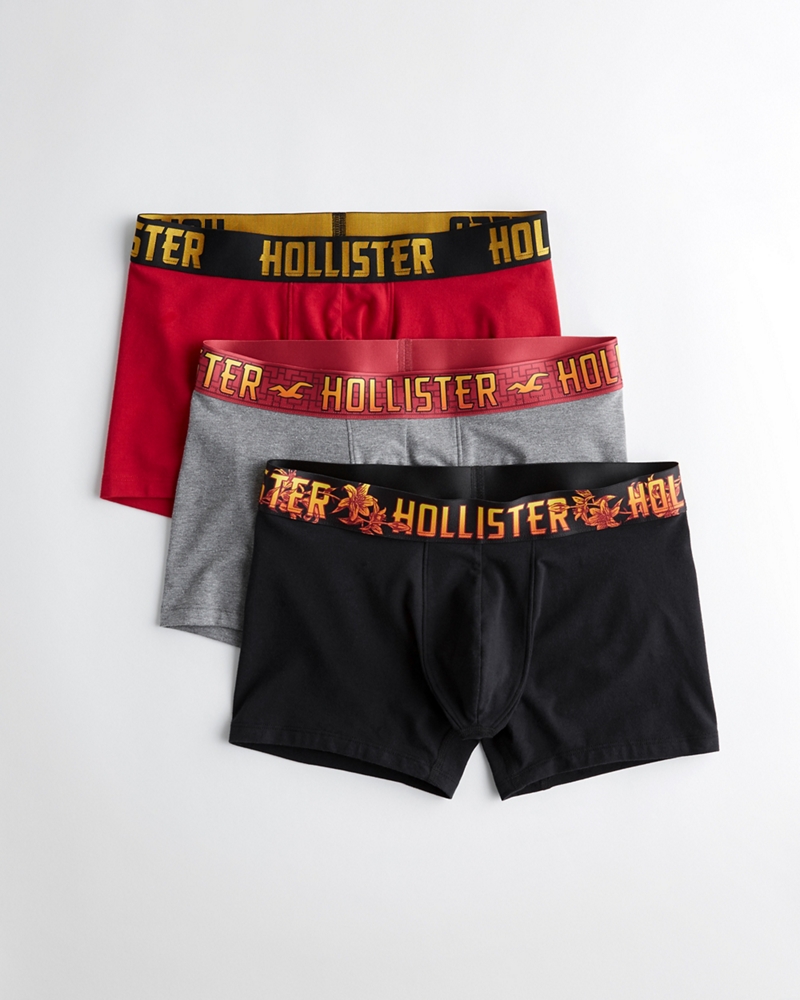 hollister 2019