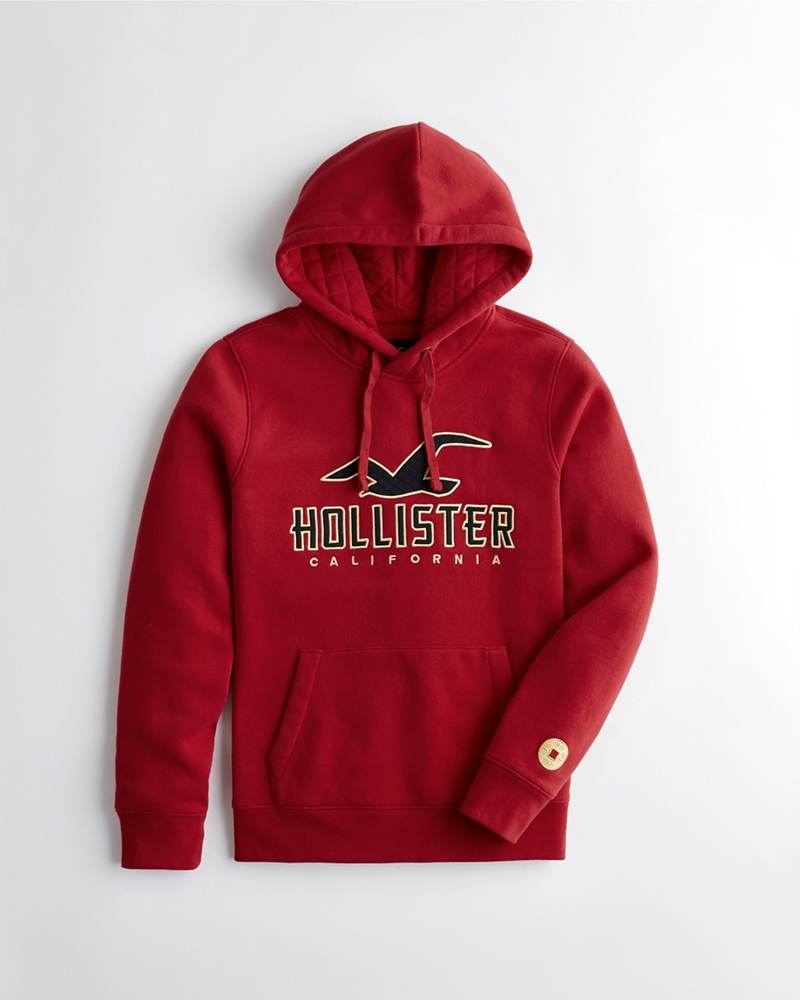 Hollister sudaderas chico deals