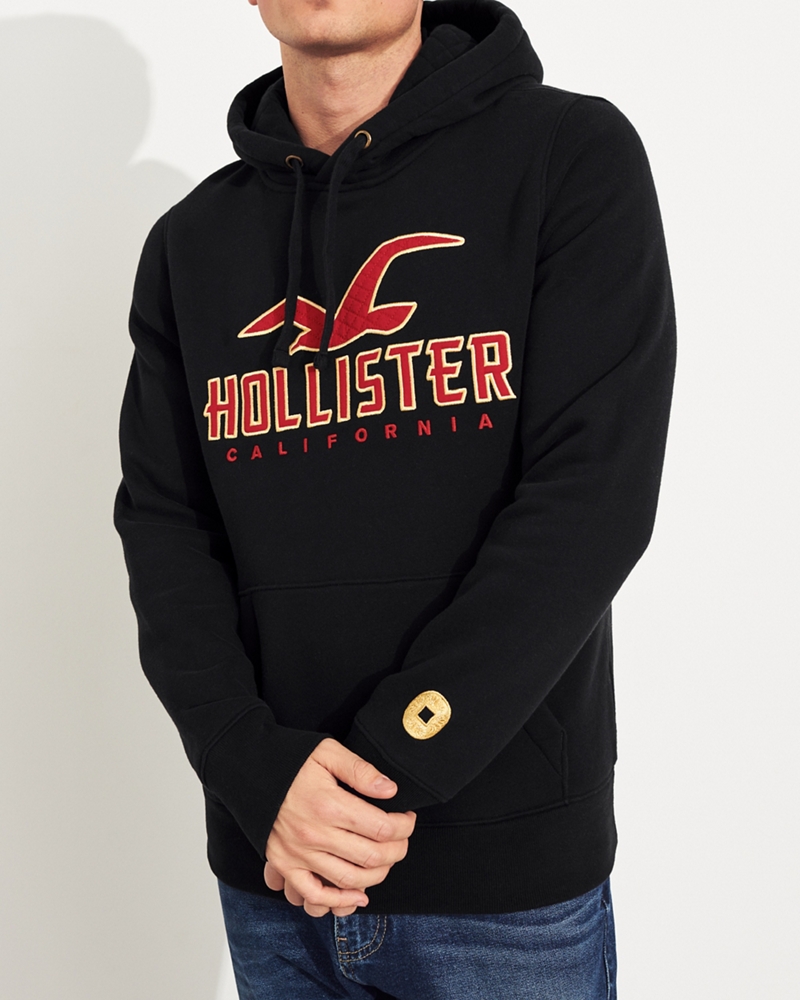 hollister hoodie xxs