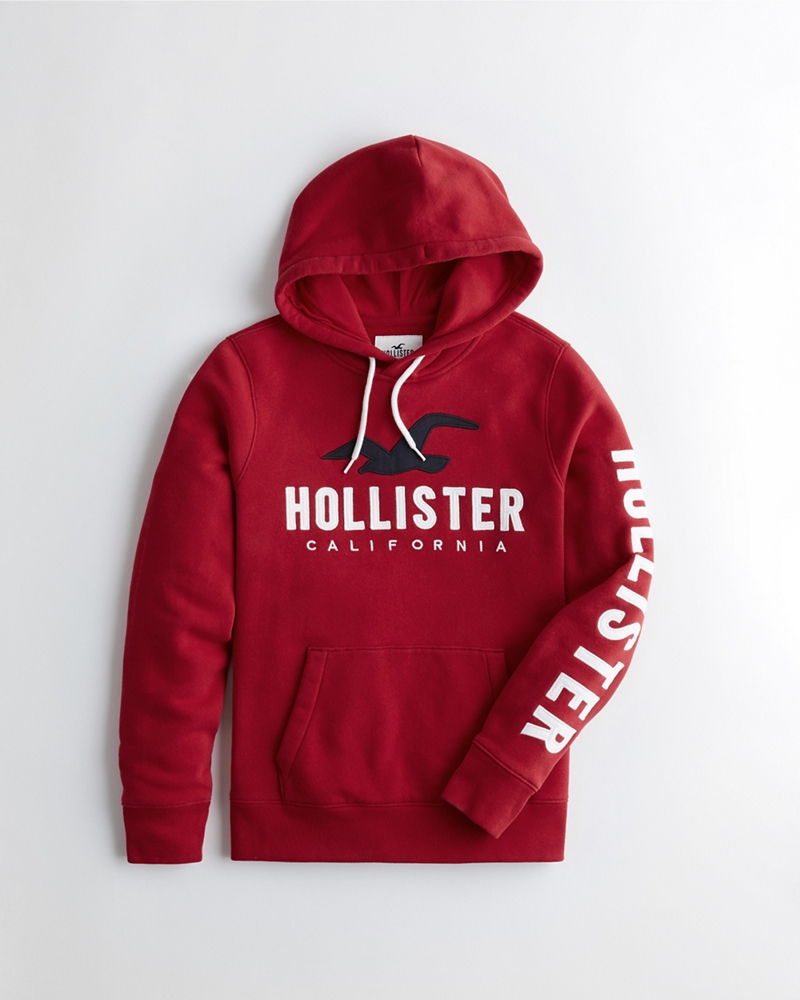 hollister guys hoodies