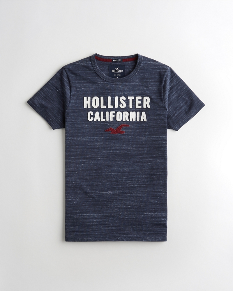 hollister muscle fit t shirt