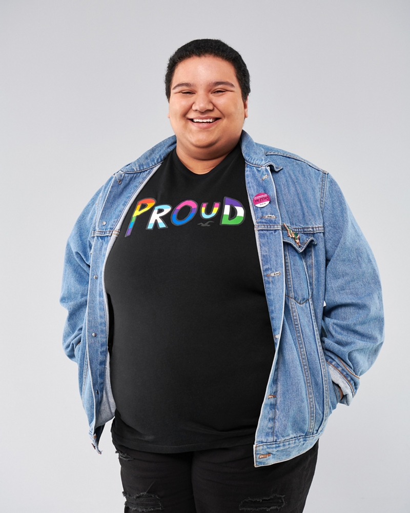 hollister glsen