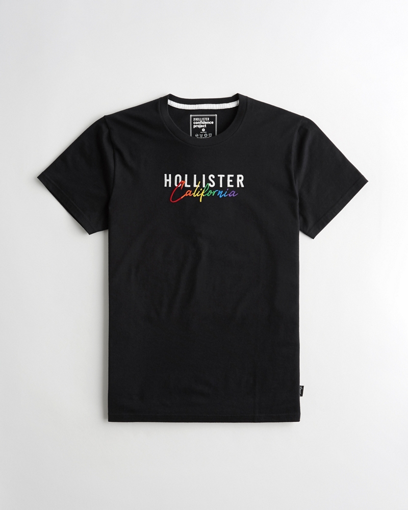 hollister pride t shirt