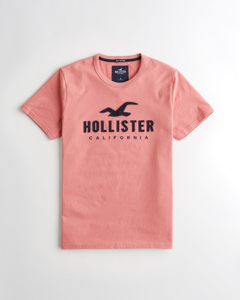 graphic tees hollister