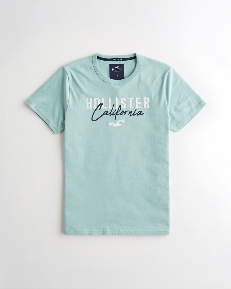 hollister childrens