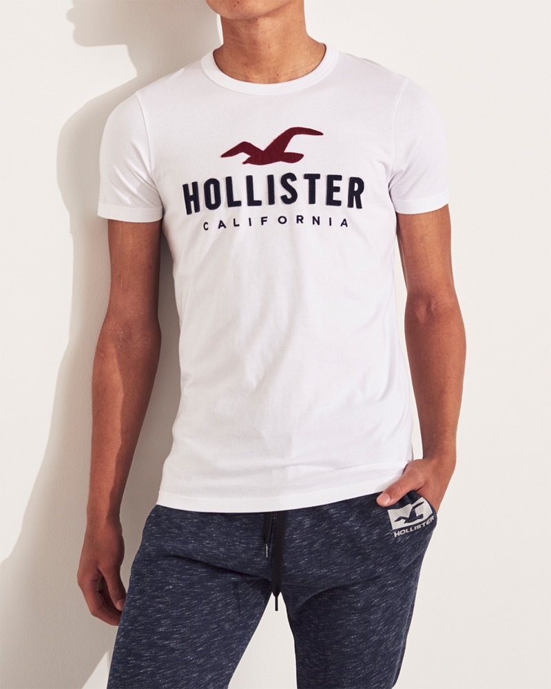 hollister 9343