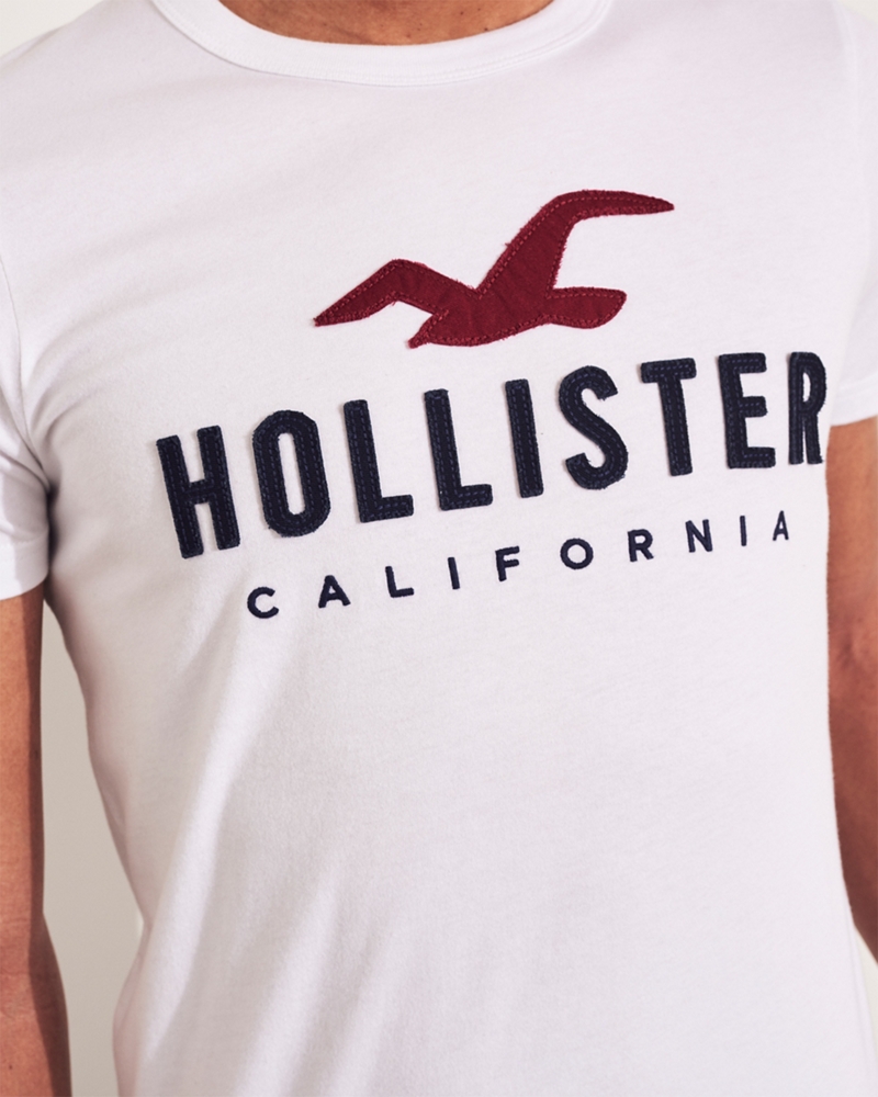 hollister 9343