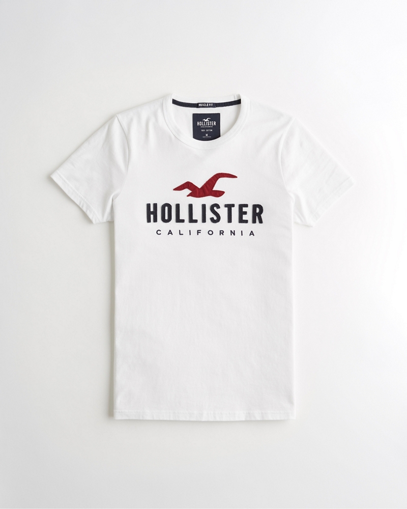 hollister 9343