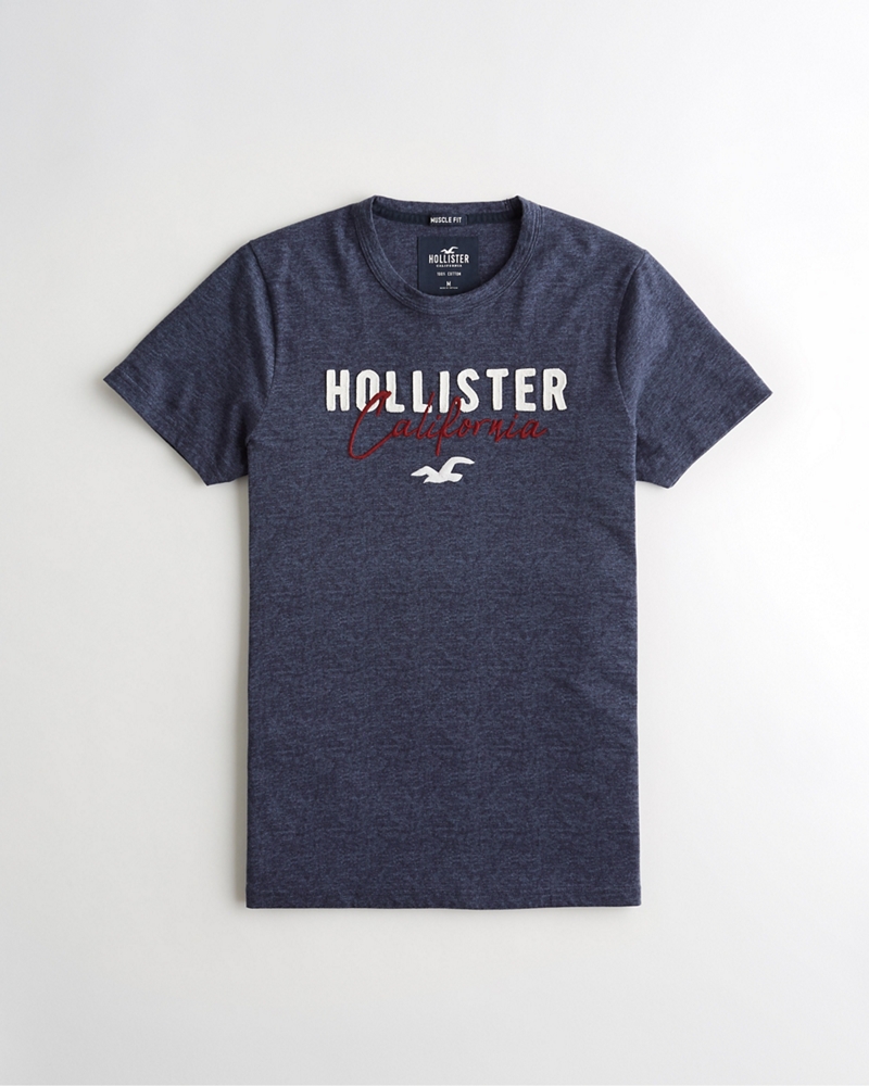 hollister 9343